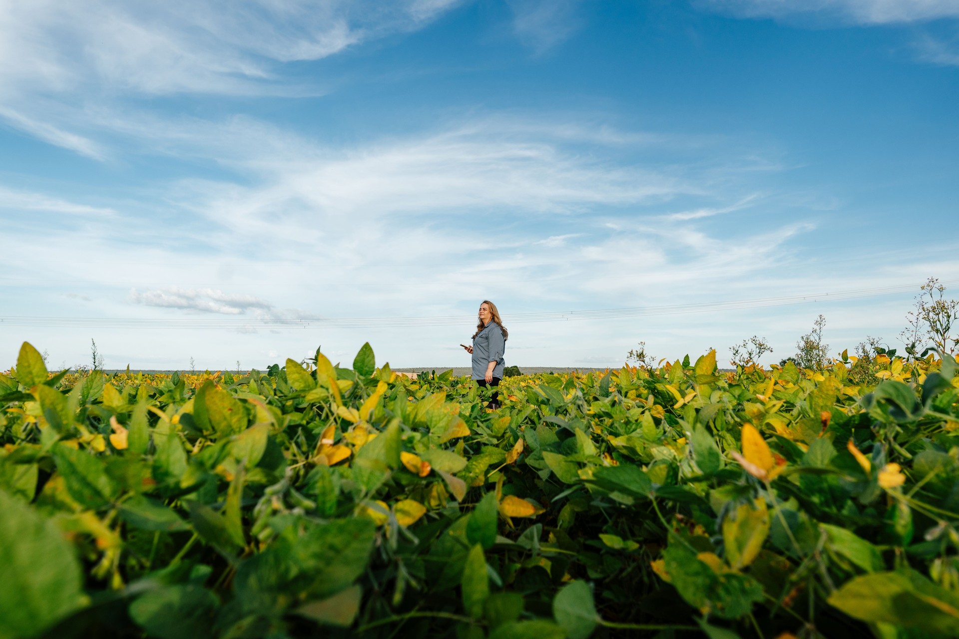 Female farmer in large soybean plantation